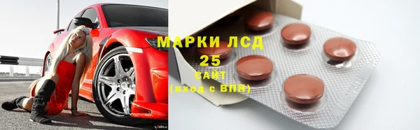 ГАЛЛЮЦИНОГЕННЫЕ ГРИБЫ Алзамай